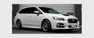 LEVORG (VMG)